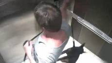 Desmond Hague, Puppy-Kicking CEO, Gets $5,000 Fine And Banned For 3 Years From Owning Animals