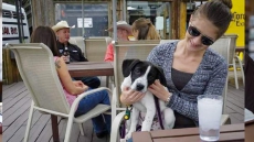 Canadian Dog Owners Envious Of New York's New Rules For Pet-friendly Patios
