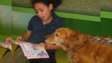 Reading To Dogs Can Shape Kids' Literacy Attitudes