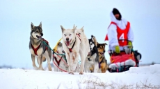 Man Begins Dog Sled Journey Across Canada: 'We're Going To Face Some Adversities'