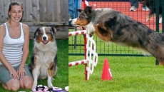 Fire At Burnaby Dog Trainer's Home Kills 10 Dogs, Cats