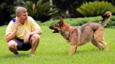 Woman With Alzheimer's Told By Condo Board To Get Rid Of Specially Trained Dog