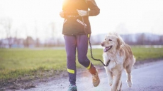 World-First Fitness App For Dogs Developed In Australia