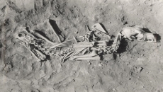 Dog, human genomes show long history together