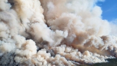 Donnie Creek Wildfire now the largest in B.C.'s history: Wildfire Service