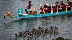 Thousands of racers take to the water as part of Vancouver Dragon Boat Festival