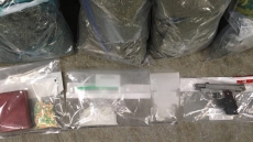 Surrey Drug Bust Results In 13 Arrests, Seizure Of Handguns And Crossbows