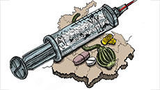 Over 3.65 Lakh Treated For Drugs In Punjab