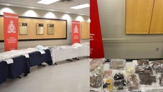 Large drug investigation leads to huge seizure of cash, drugs, vehicles, and ammunition