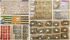 Surrey Drug Unit busts illegal cannabis operation finds potato chips and gummies among other things