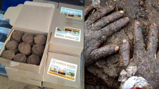 Cow Dung Patties Selling Like Hot Cakes Online in India