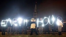 WWF Says Global Wildlife Populations Declined 60 Per Cent, Demands Action