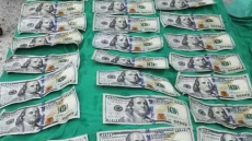 Woman Swallows $9,000 in Cash to Avoid Giving Half to Her Ex-Partner