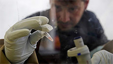 Tekmira stock soars after FDA relaxes precautions on experimental Ebola drug