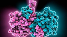 Ebola epidemic to get worse: health official