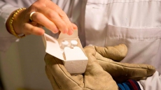 First trials of Ebola vaccines suggest they are safe; next phase next month: WHO