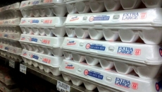 Confirmed outbreak of avian flu in B.C.