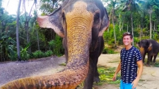 White Rock Man's Elephant Selfie (or 'Elphie') In Thailand Garners Worldwide Attention