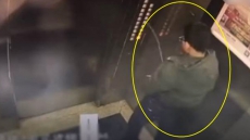 VIDEO:  Karma, Anyone? Boy Gets Stuck In An Elevator Moments After Peeing Inside