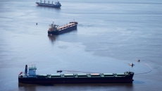 Aquarium Examines Samples From Bunker Fuel Spill In Vancouver's English Bay