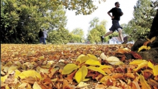Fall Forecast Calls For Hot, Dry Weather In Western Canada