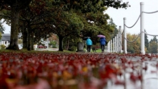 First atmospheric river of fall deluges parts of B.C. south coast, southern Interior