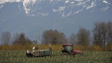 Farmers Enjoying Low Fuel Prices But Waiting For Other Shoe To Drop