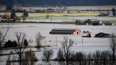 B.C. farmers fight orders to leave to save animals