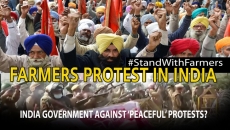 WATCH: Why are Farmers Up in Arms Against India's Government ?