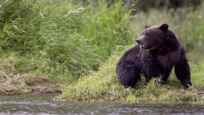 Wildlife conservation funding for B.C.
