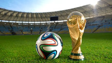FIFA orders World Cup stadium break