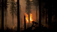 Canadian firefighters being redirected to Oregon
