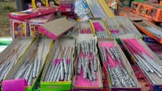 Delhi HC junks plea challenging blanket ban on firecrackers