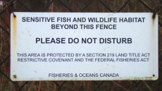 Analysis Suggests Protection Of Fish Habitat Waning Under Harper Government