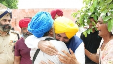 Punjab to provide free paddy saplings to flood-hit farmers: Mann