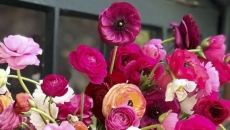 If you grow your own cutting garden, you'll have beautiful flower bouquets all season long