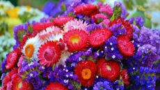 Breathing Life Back Into Your Flowers