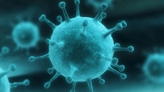 How flu virus infects host cells
