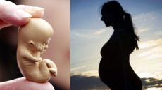 Seven-Month Pregnant Woman Killed As Husband Pressed Her Stomach To Force Foetus Out: Punjab Police