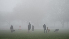 Fog warning extended for Metro Vancouver area, parts of Vancouver Island