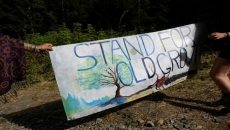 RCMP move to end forest blockade in B.C.