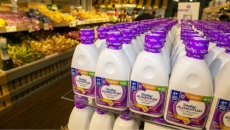 Feds mull stopgap plan for formula shortage before overhauling approval process: docs