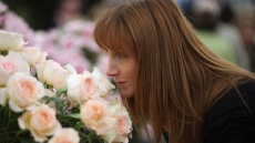 Women have a much stronger sense of smell than men