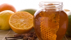 Fresh honey could provide alternative to antibiotics