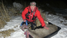 Stranded Deer Rescued From Frozen Lake In British Columbia's Okanagan