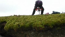 Amazing! Back to life after 1,500 years in ice