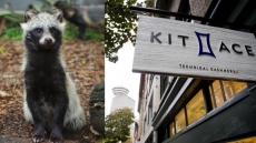 Kit And Ace Fur Fight Highlights Need For New Rules On Clothing Labels