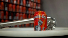 Mahatma Gandhi's Photo On Beer Bottles, Israeli Company Says Sorry To India