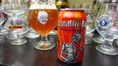Gandhi-Bot Beer: Consumer Activist Moves Court