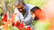 Plant Power: Unexpected Health Benefits of Gardening